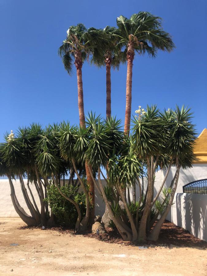 Hacienda Soto-Hego Haizea Chiclana de la Frontera Bagian luar foto